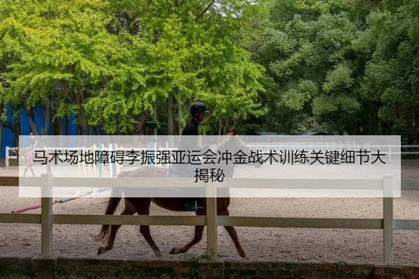ma-shu-chang-di-zhang-ai-li-zhen-qiang-ya-yun-hui-chong-jin-zhan-shu-xun-lian-guan-jian-xi-jie-da-jie-mi-2-321.jpg