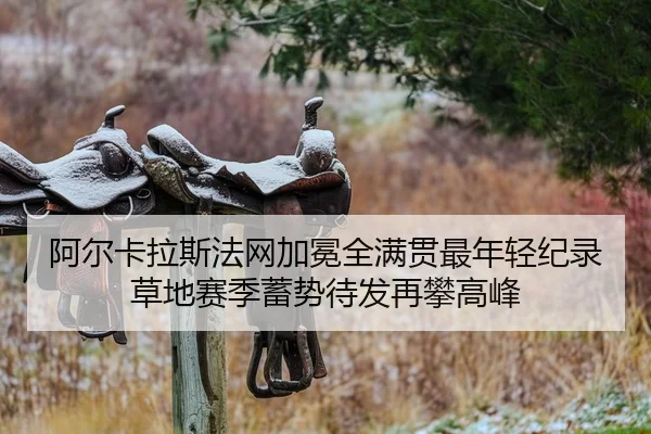 a-er-ka-la-si-fa-wang-jia-mian-quan-man-guan-zui-nian-qing-ji-lu-cao-di-sai-ji-xu-shi-dai-fa-zai-pan-gao-feng-2-260.jpg